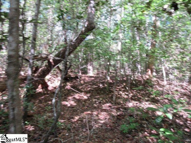 Property image 5 at 118 Hambys Way, Pickens, SC 29671