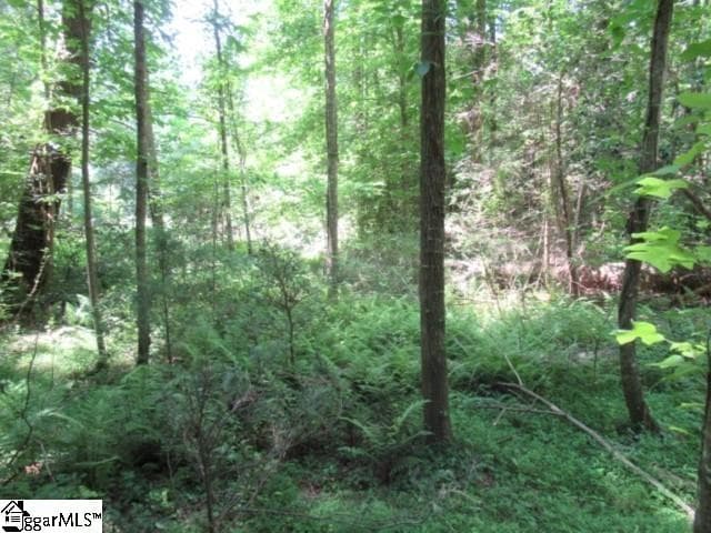 Property image 2 at 122 Hambys Way, Pickens, SC 29671