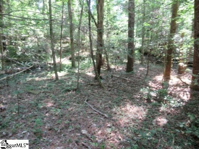 Property image 3 at 122 Hambys Way, Pickens, SC 29671