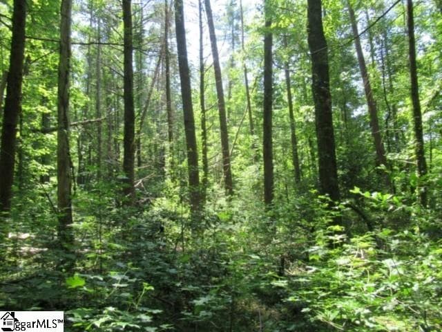 Property image 5 at 126 Hambys Way, Pickens, SC 29671