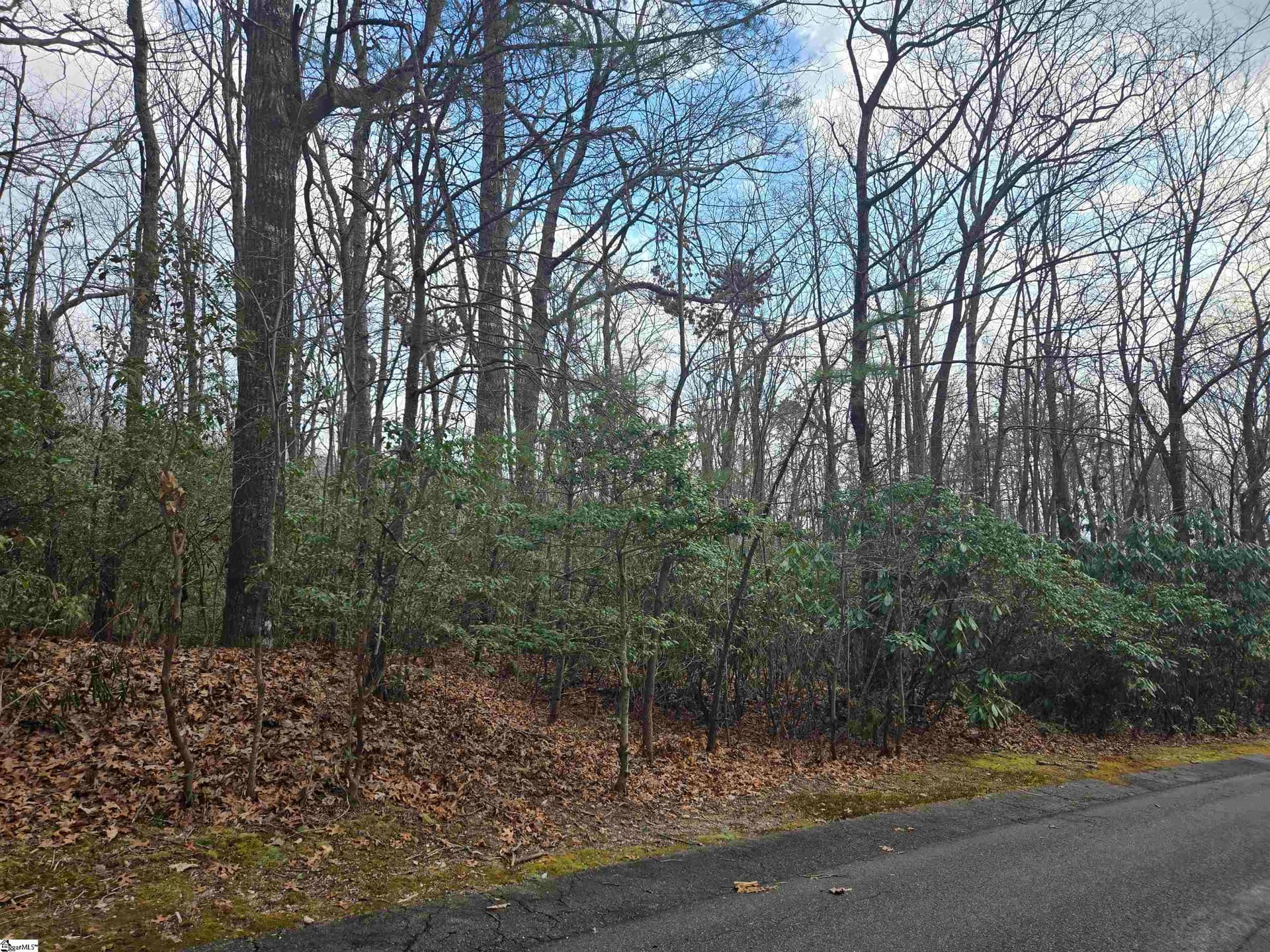 Property image 2 at 111 Columbine Way, Cleveland, SC 29635