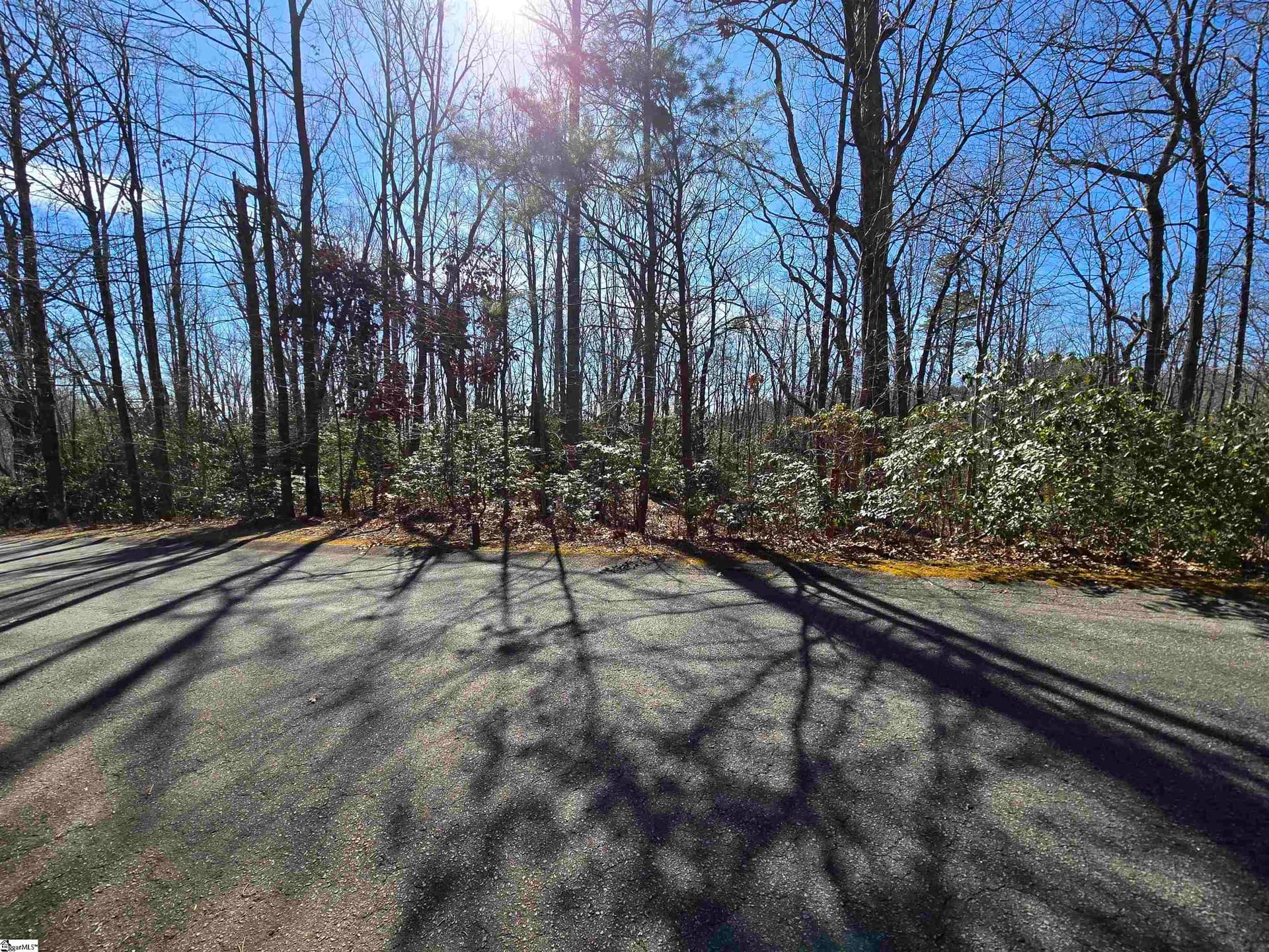 120 Birchbend