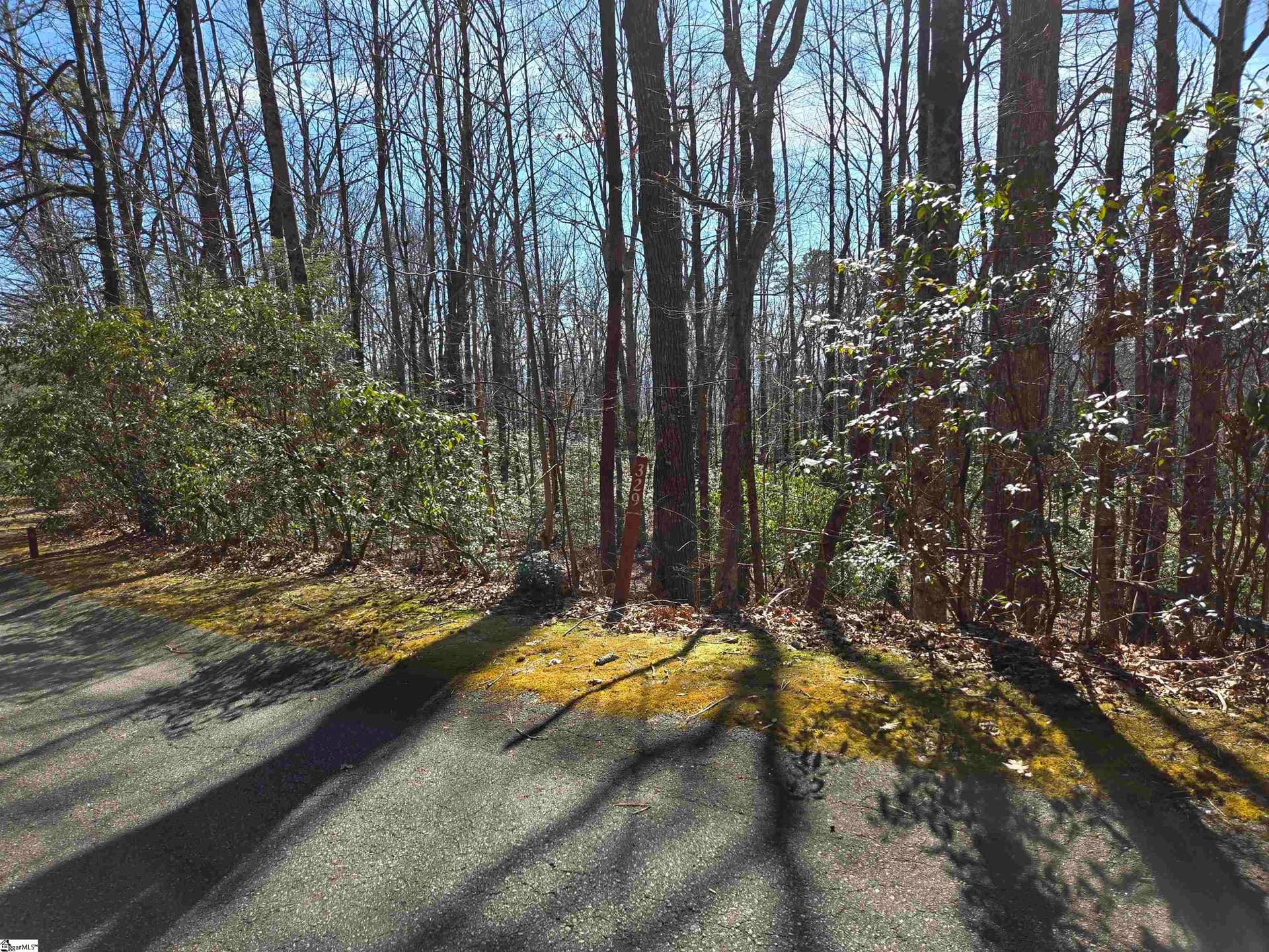116 Birchbend