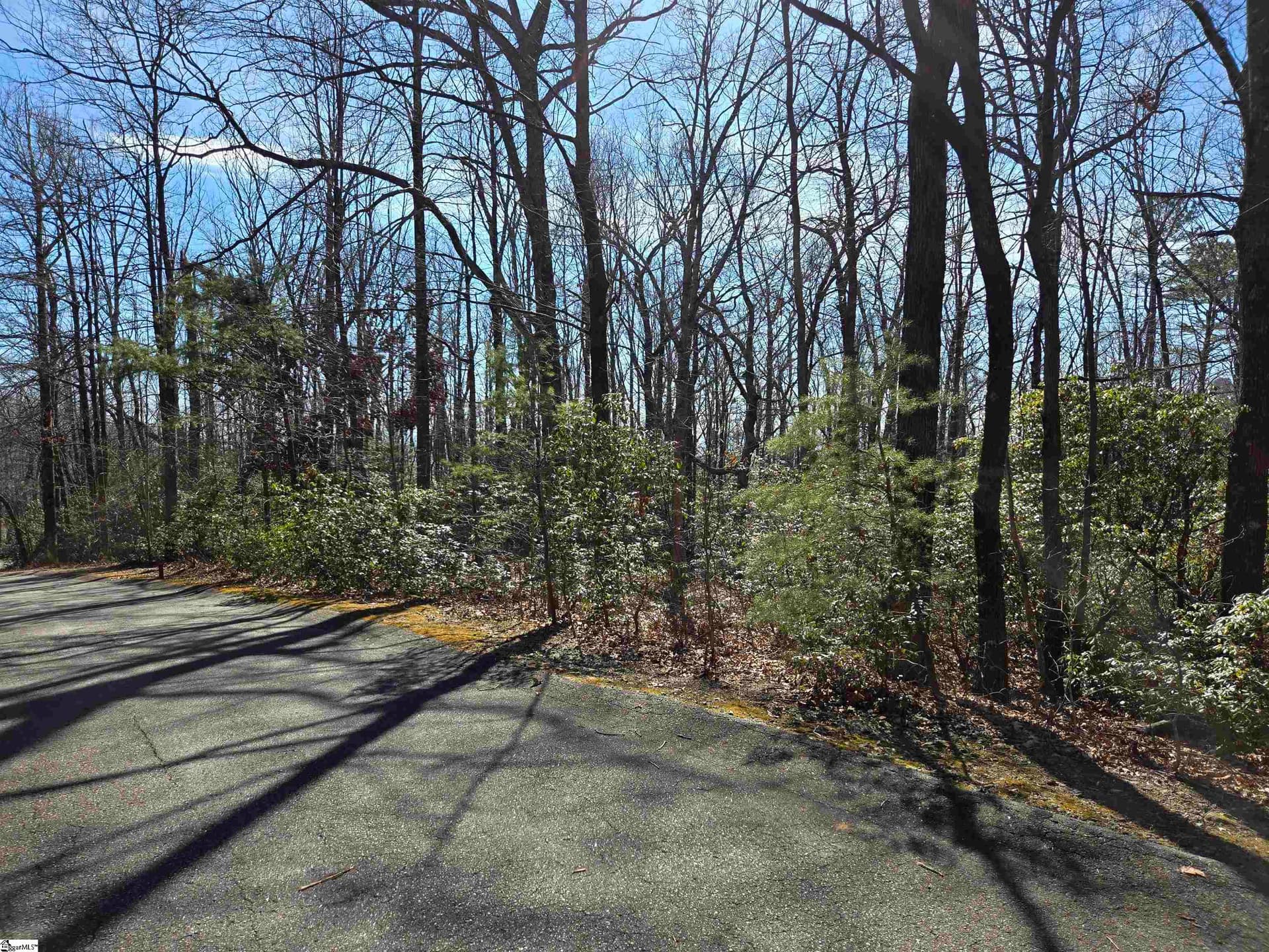 Property image 3 at 116 Birchbend, Cleveland, SC 29635