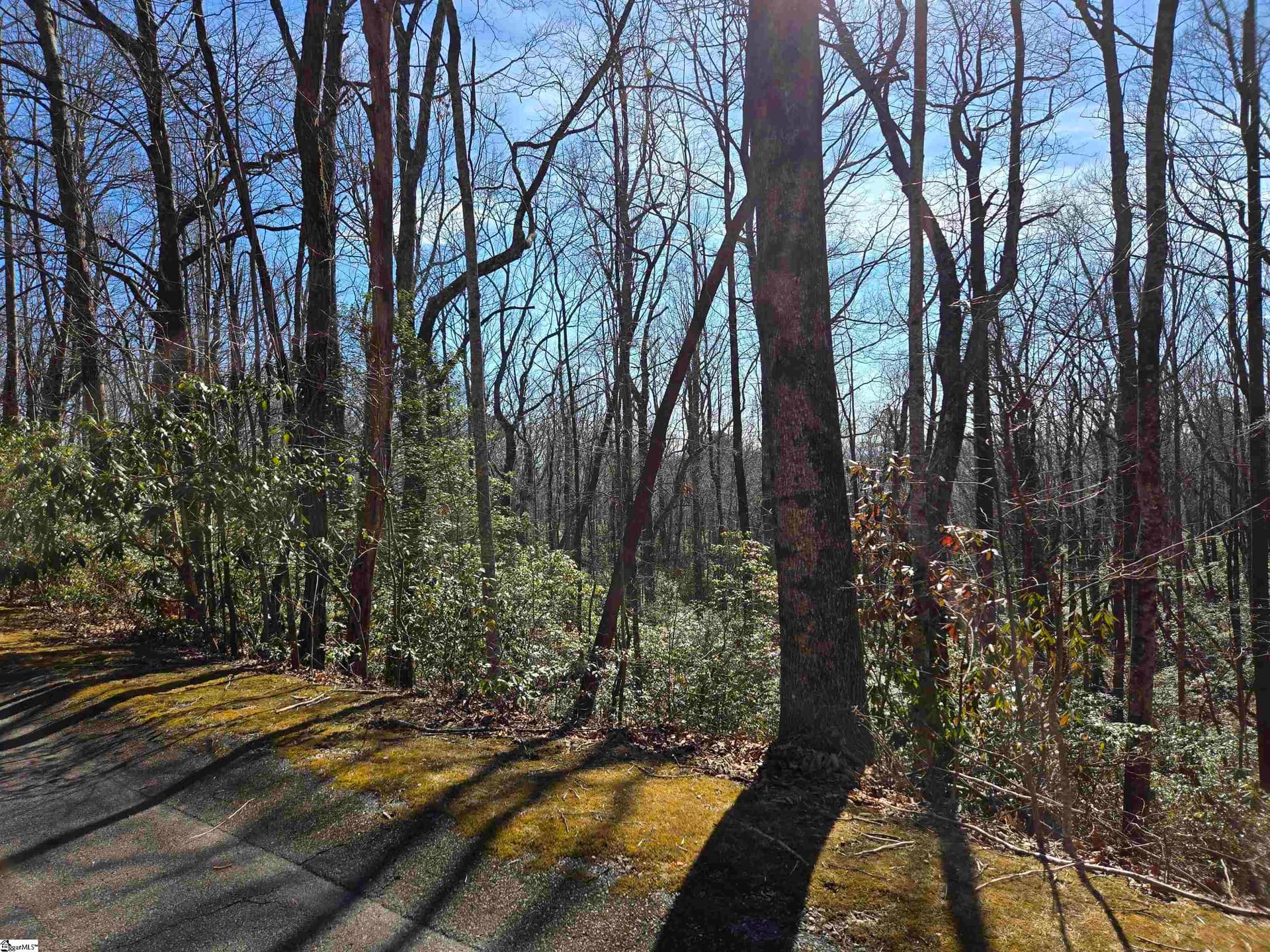 Property image 2 at 112 Birchbend, Cleveland, SC 29635