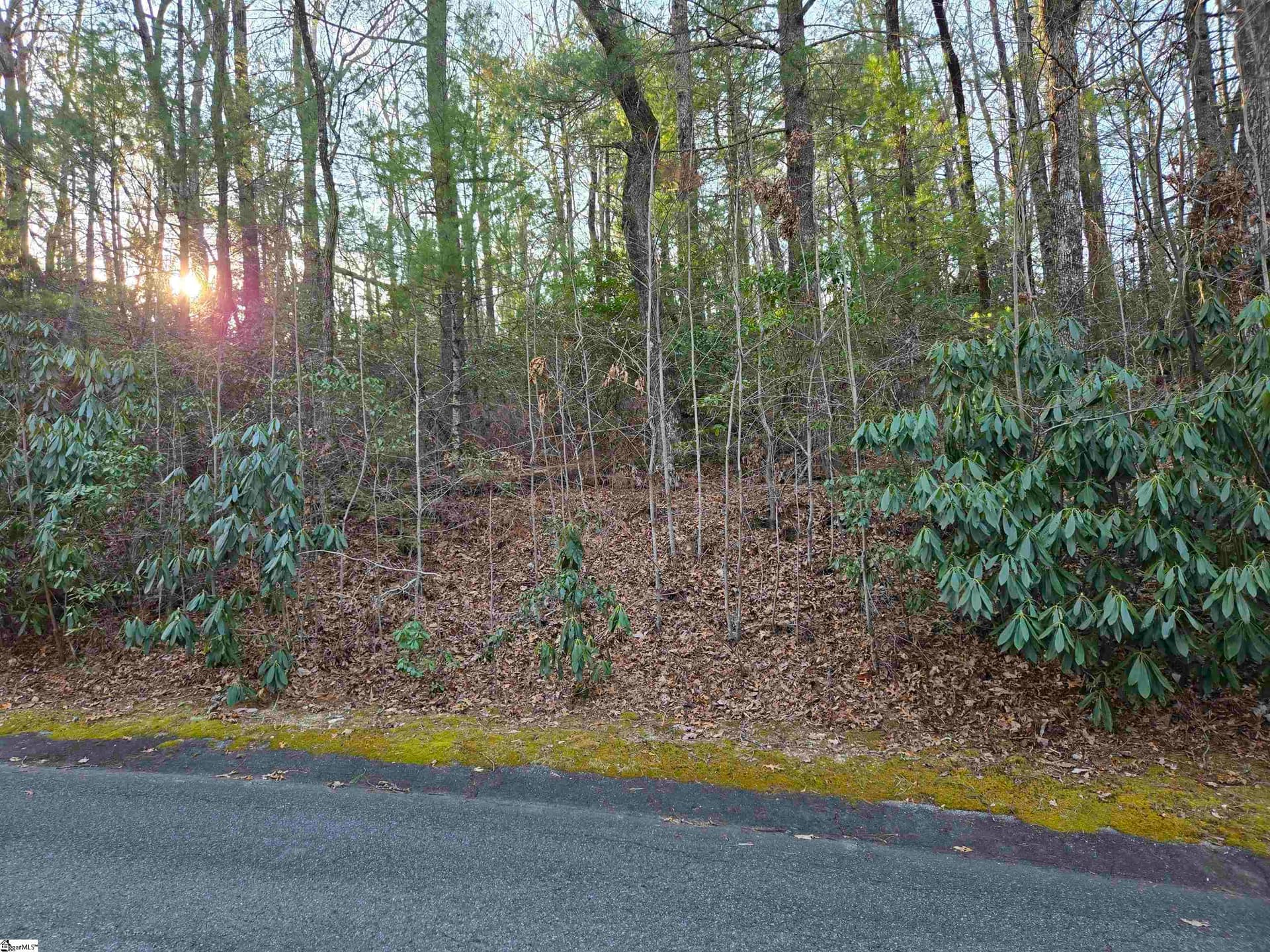 56 Cliff Ridge Drive