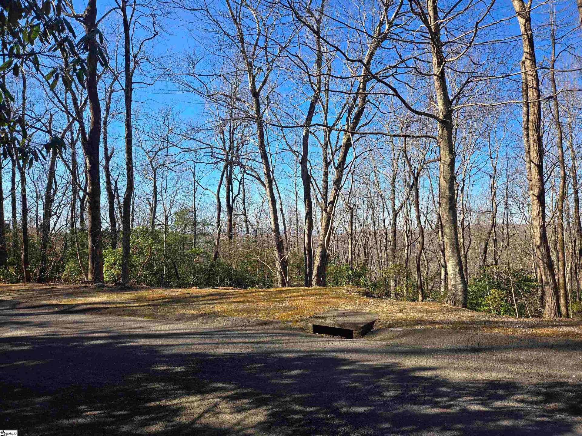 Property image 3 at 620 Cliff Ridge Drive, Cleveland, SC 29635