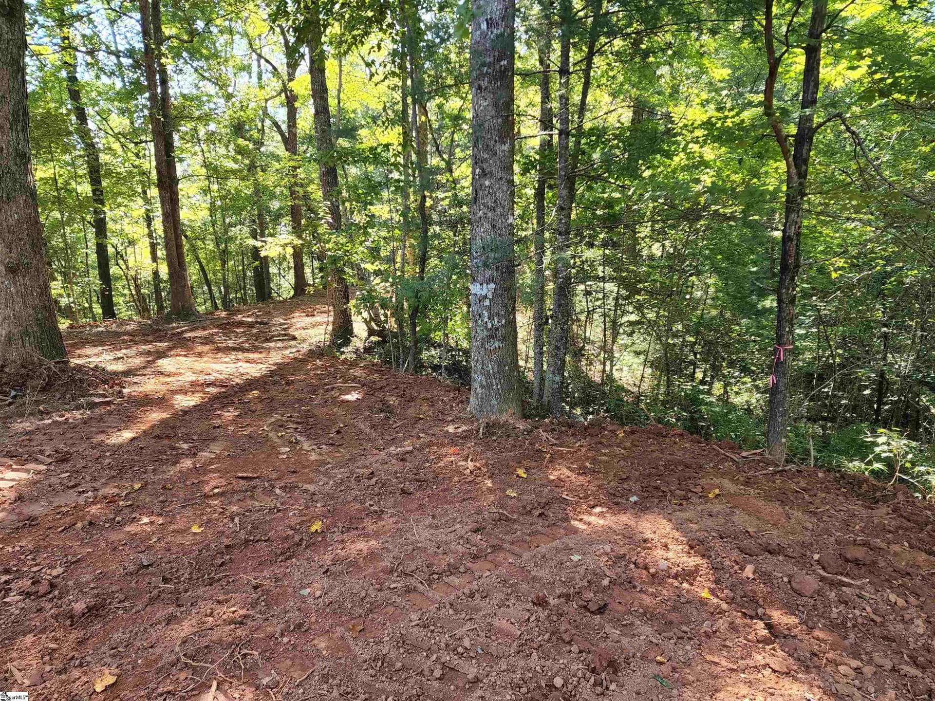 Property image 3 at 00 Emerald Crest Lane, Cleveland, SC 29635