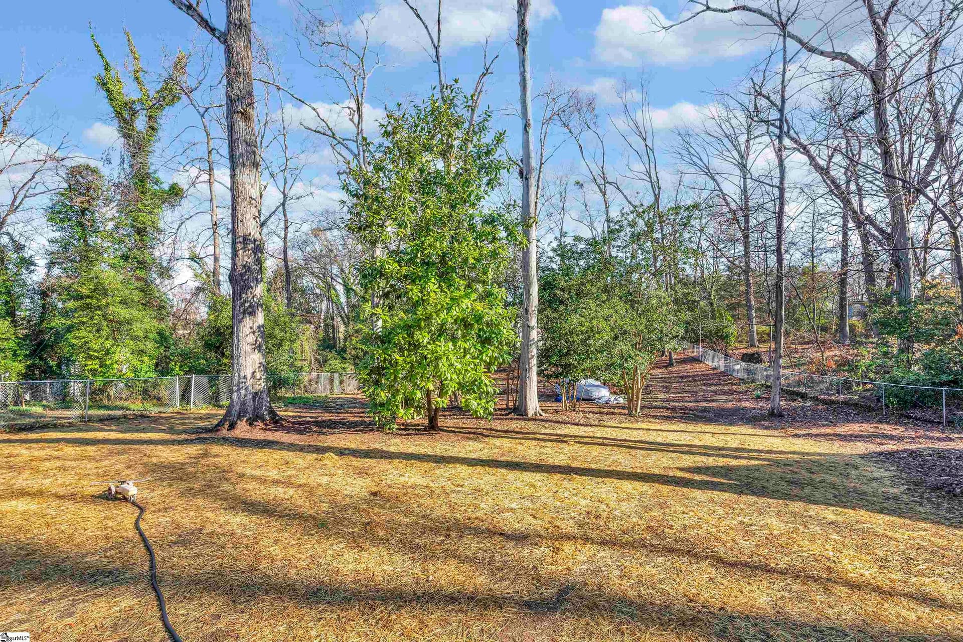 Property image 4 at 161 Ivy Street, Spartanburg, SC 29302
