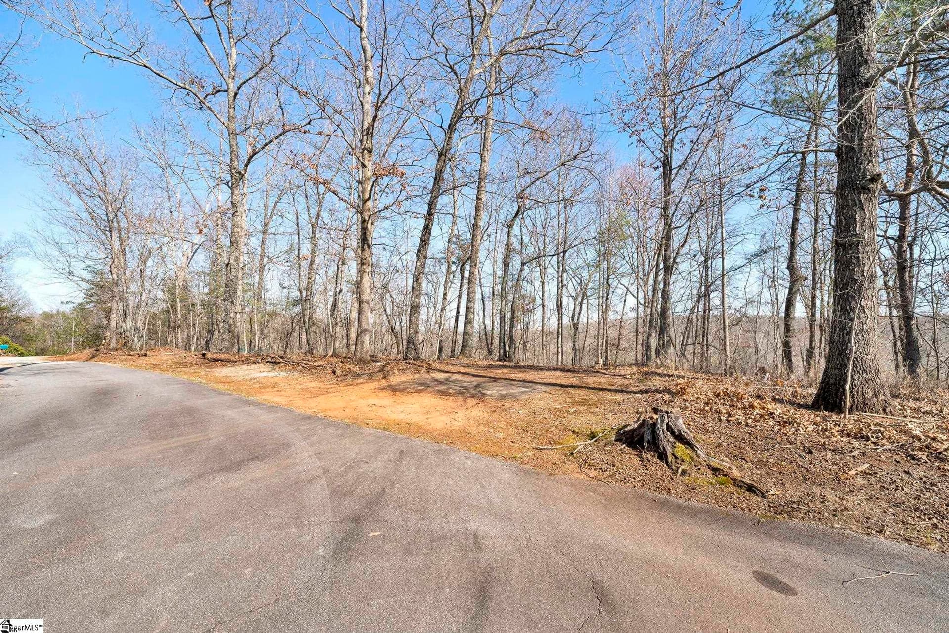 Property image 5 at 00 Emerald Crest Lane, Cleveland, SC 29635