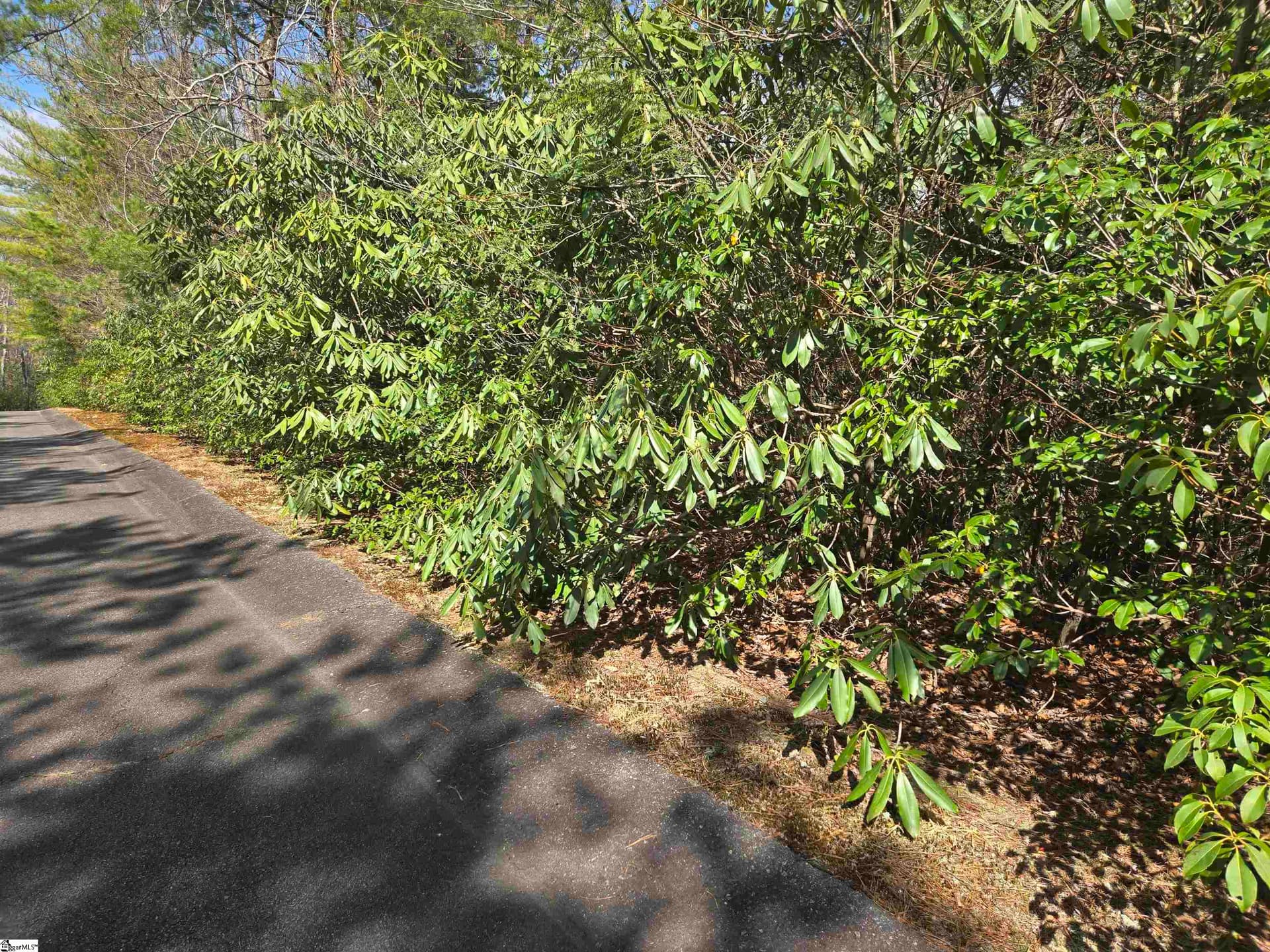 17 Cliff Ridge Drive