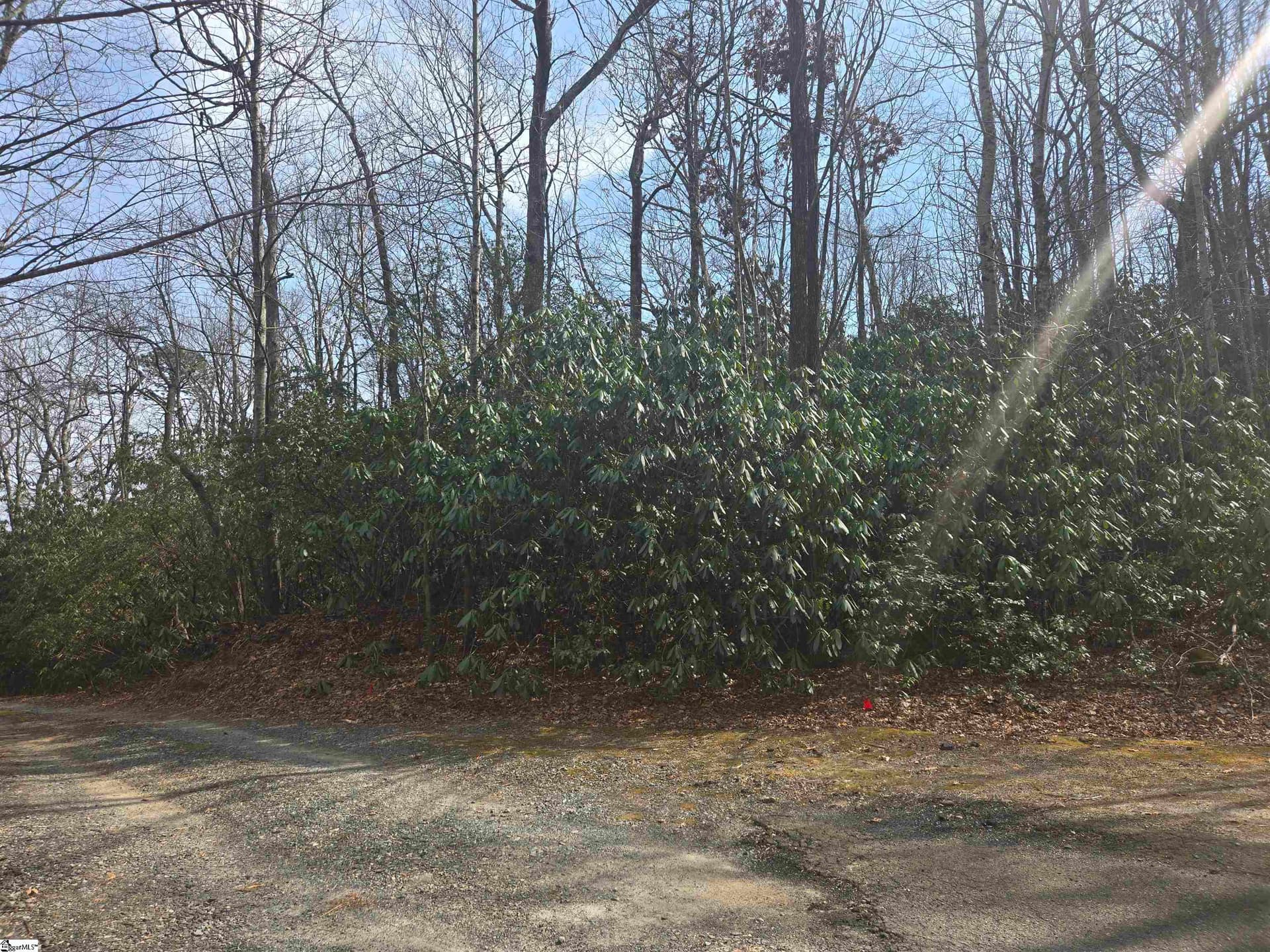Property image 3 at 68 Conifer Falls Road, Cleveland, SC 29635