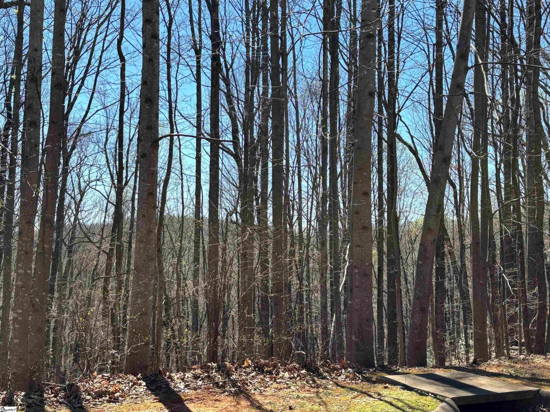 317 Laurel Valley Way