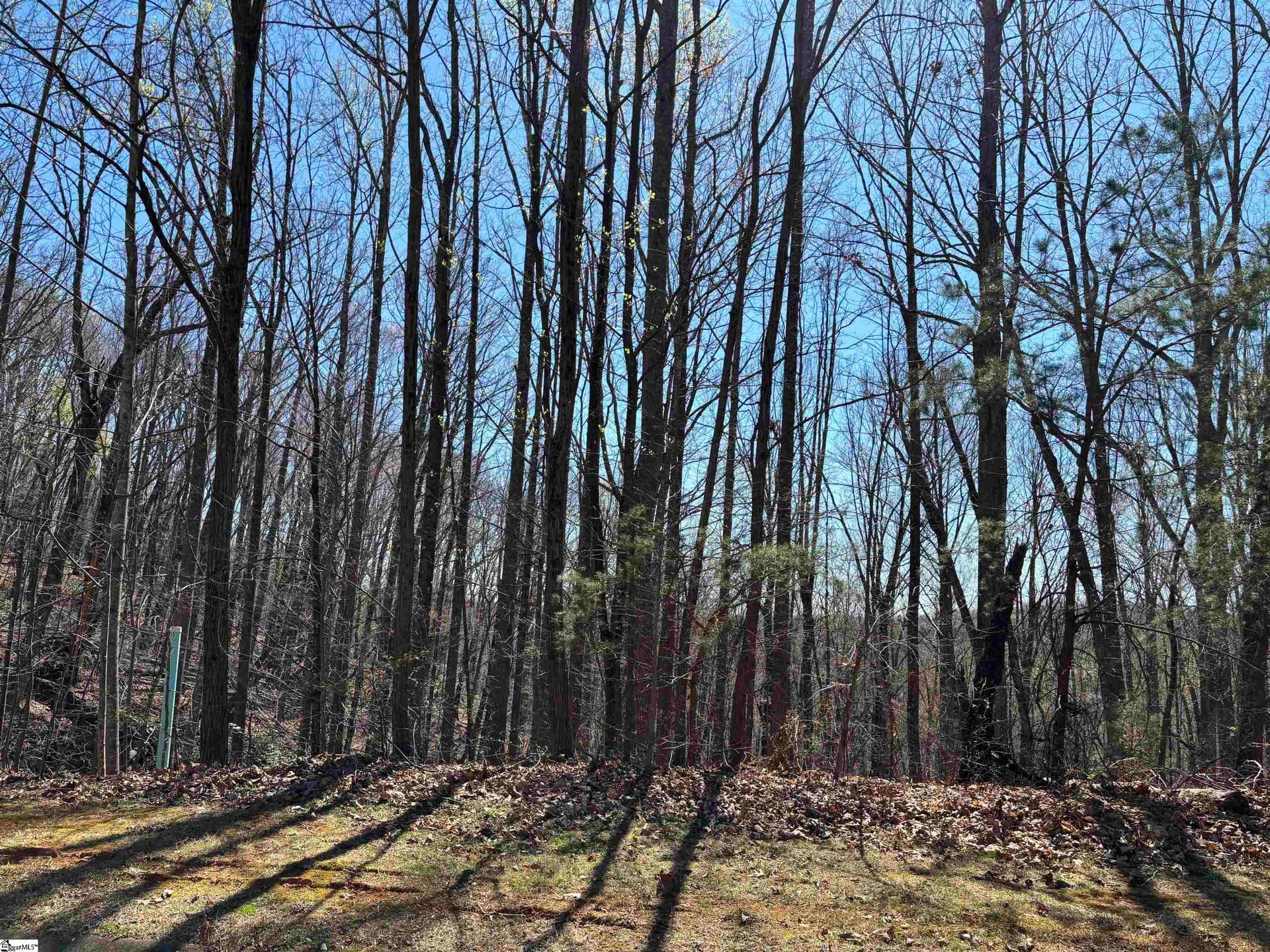 Property image 2 at 317 Laurel Valley Way, Travelers Rest, SC 29690