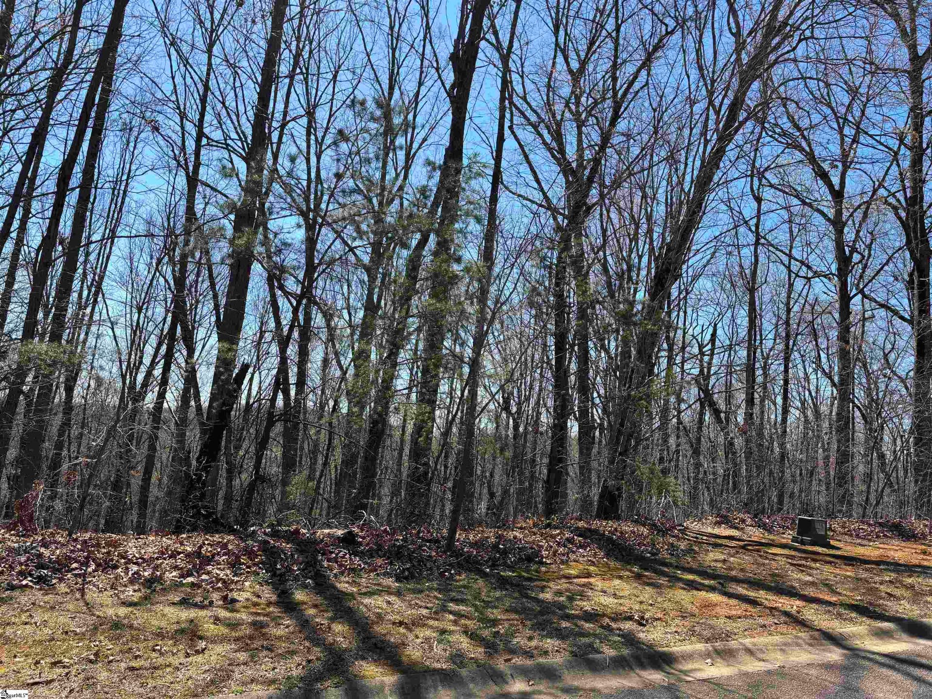 Property image 3 at 317 Laurel Valley Way, Travelers Rest, SC 29690
