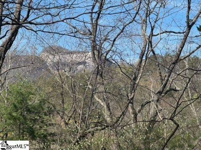 Property image 2 at Ledge Road, Cleveland, SC 29635