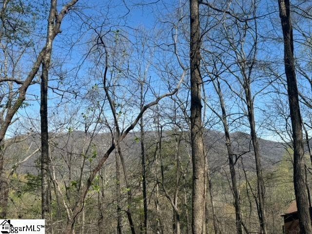 Property image 3 at Ledge Road, Cleveland, SC 29635