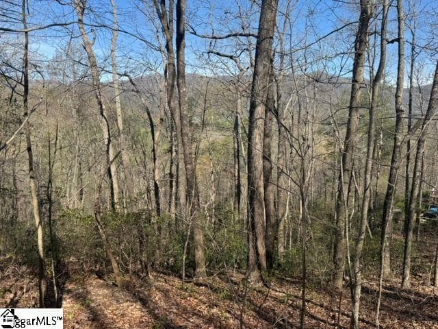 Property image 4 at Ledge Road, Cleveland, SC 29635