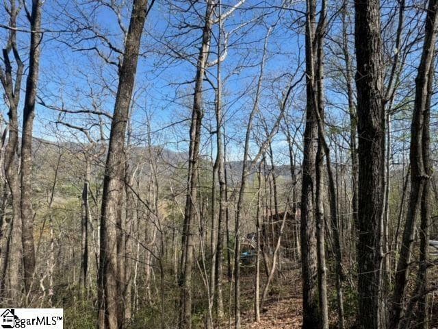 Property image 5 at Ledge Road, Cleveland, SC 29635