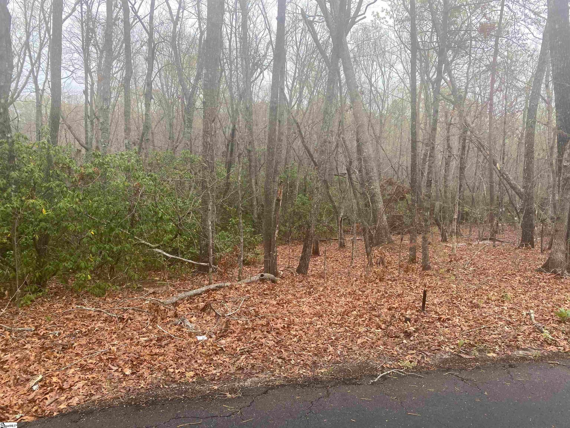 Property image 2 at 00 Eastview Drive, Pickens, SC 29671