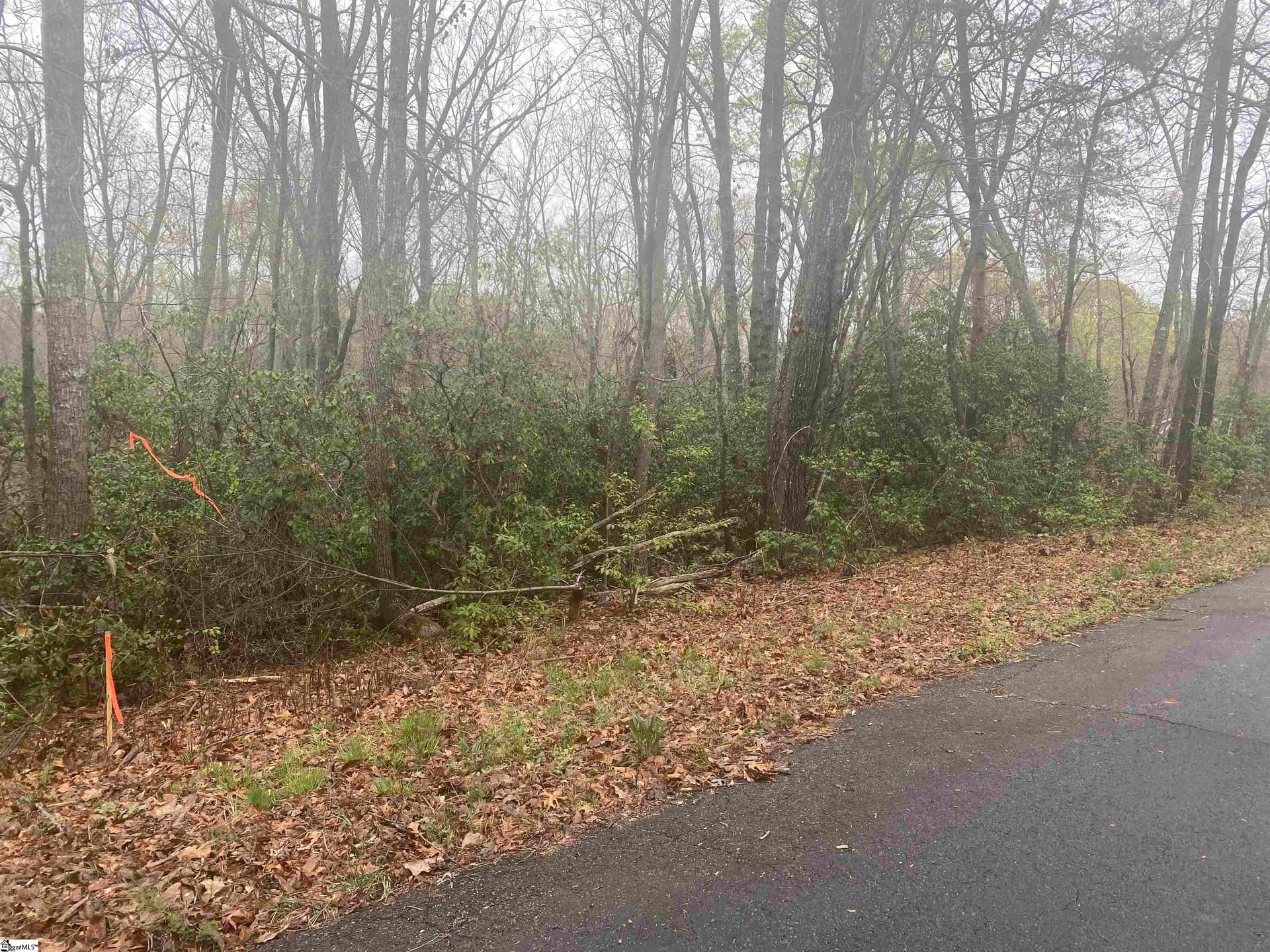 Property image 3 at 00 Eastview Drive, Pickens, SC 29671