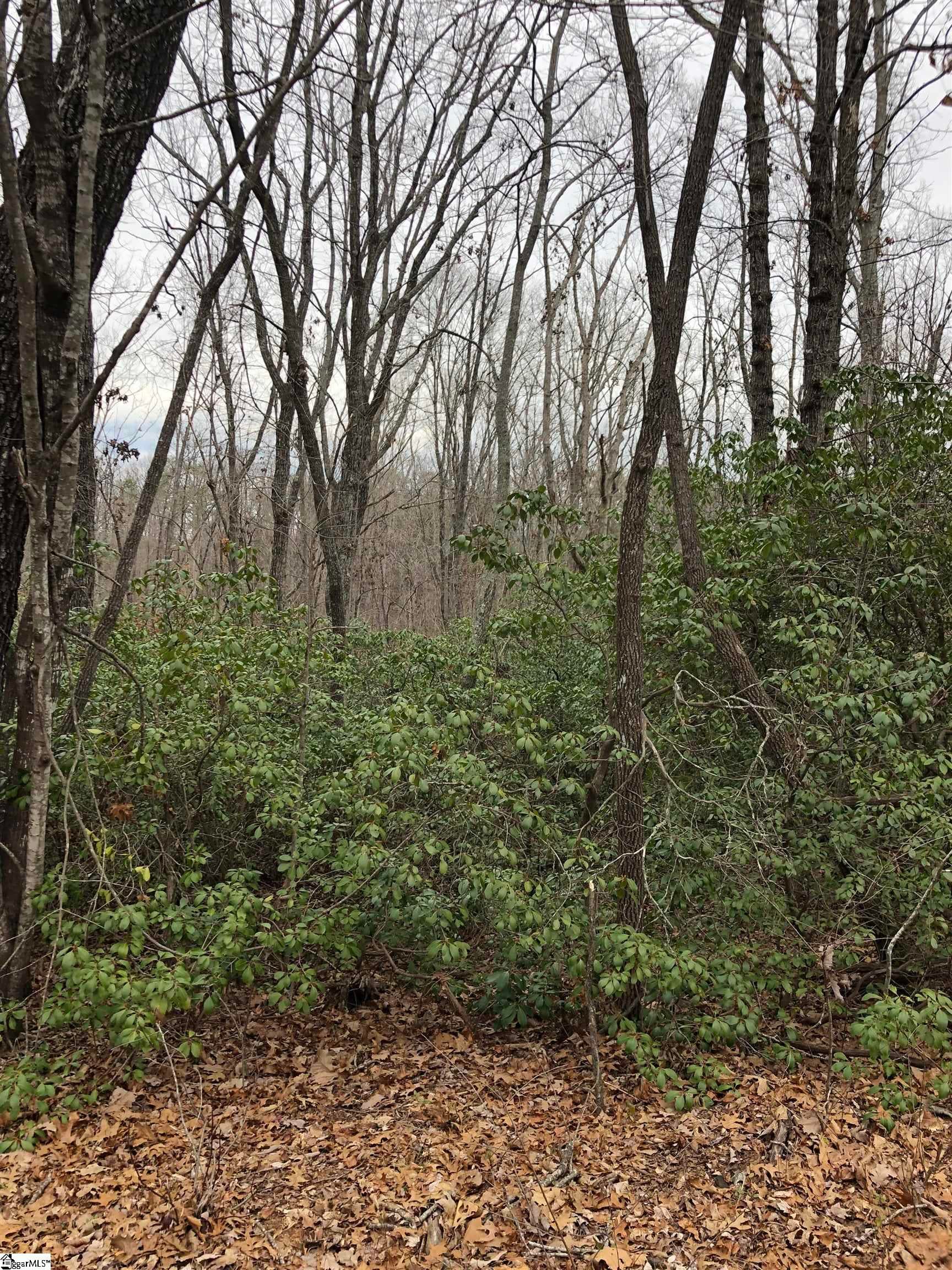 Property image 4 at 00 Eastview Drive, Pickens, SC 29671