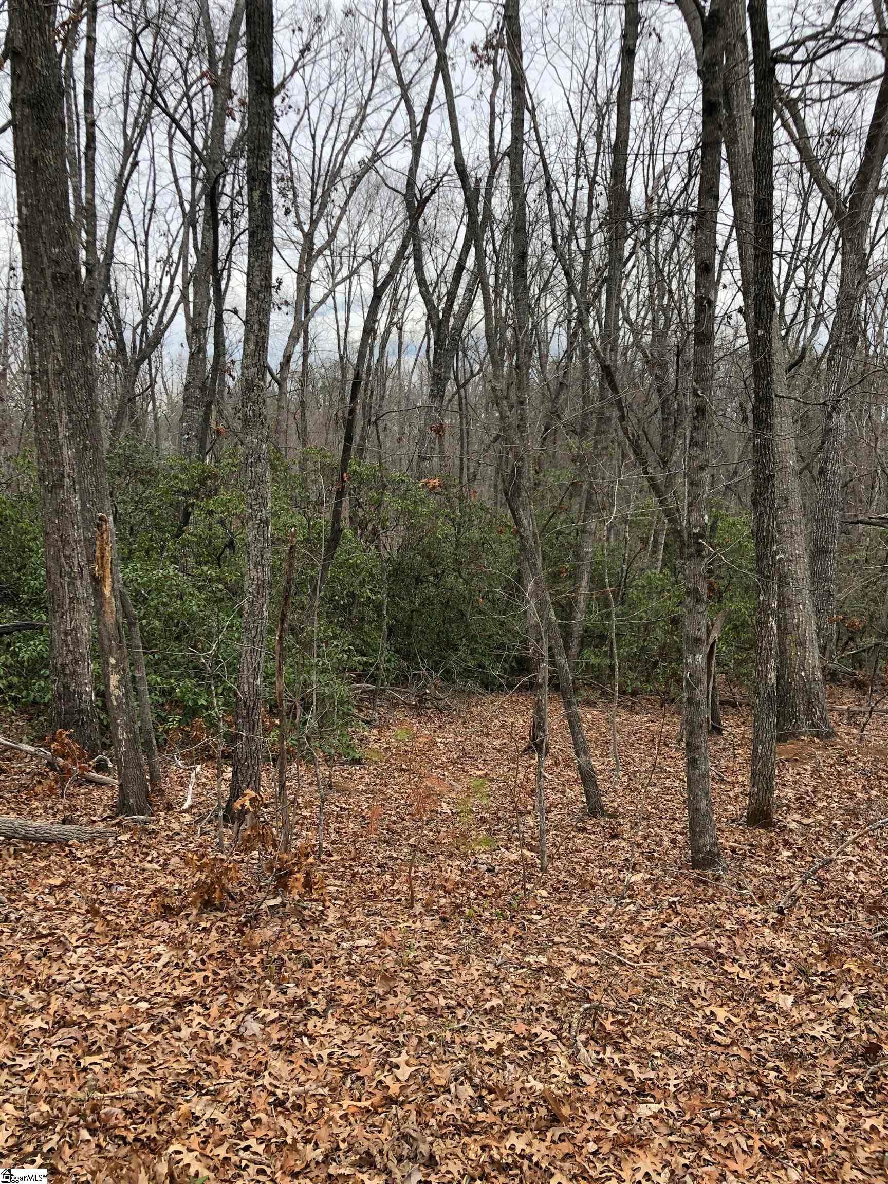 Property image 5 at 00 Eastview Drive, Pickens, SC 29671
