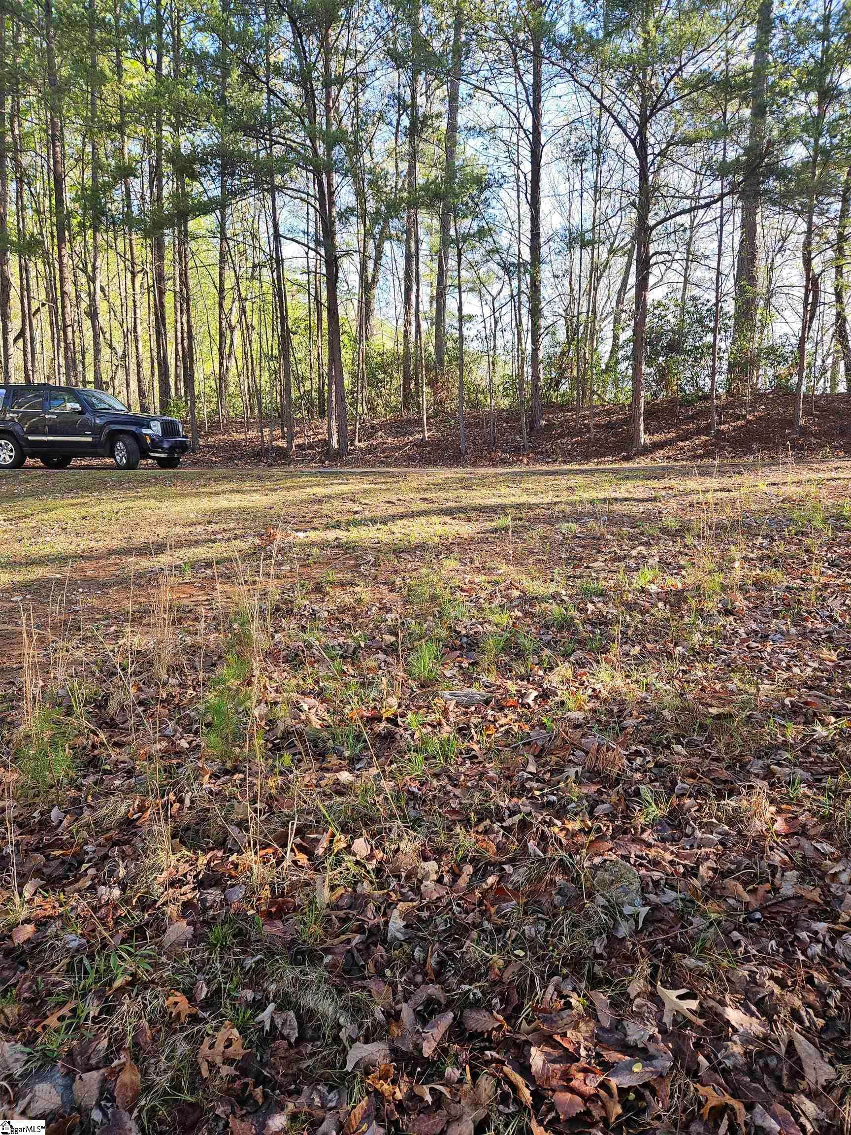 Property image 2 at 139 Whispering Falls Drive, Pickens, SC 29671