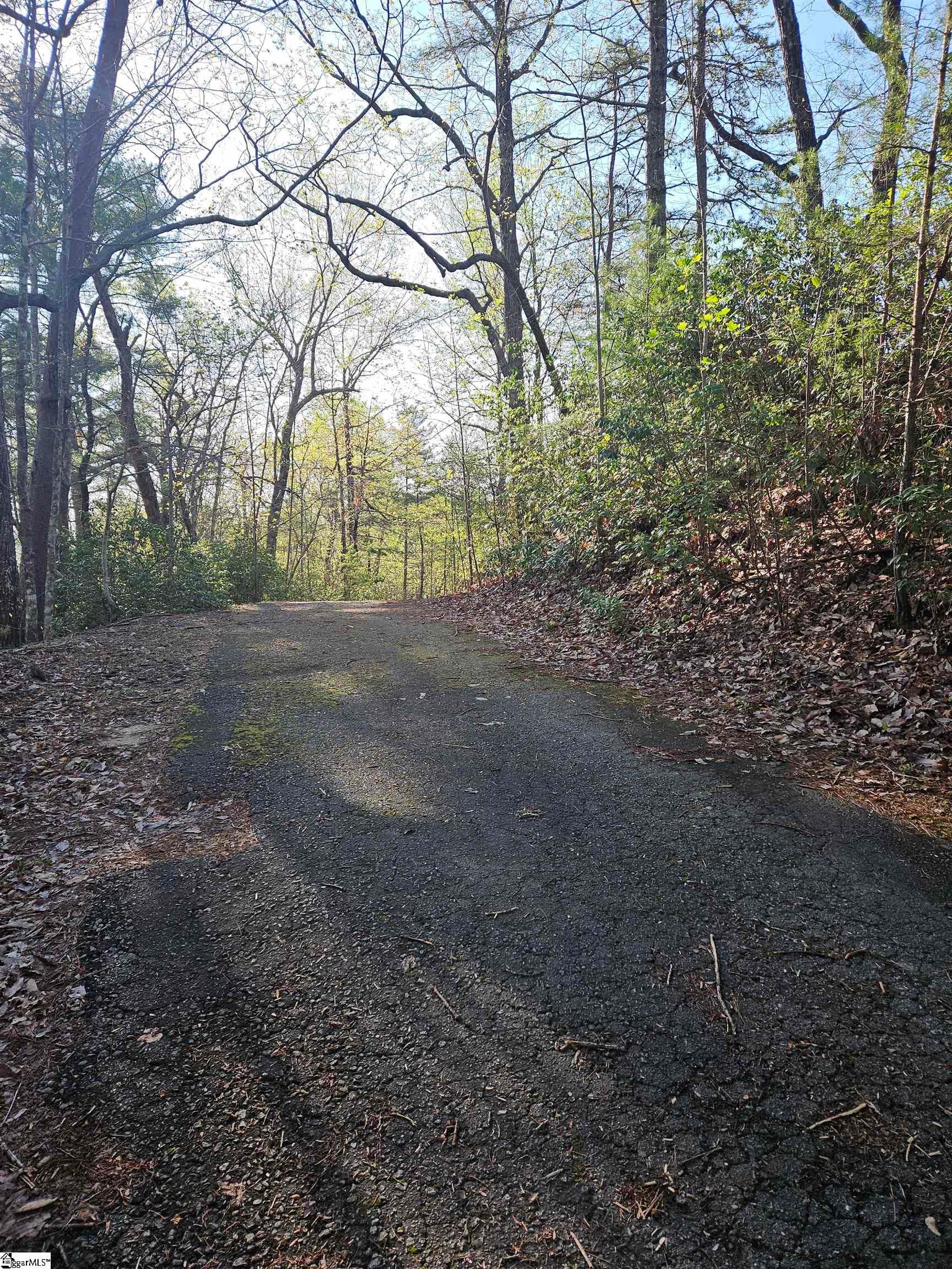 Property image 3 at 139 Whispering Falls Drive, Pickens, SC 29671
