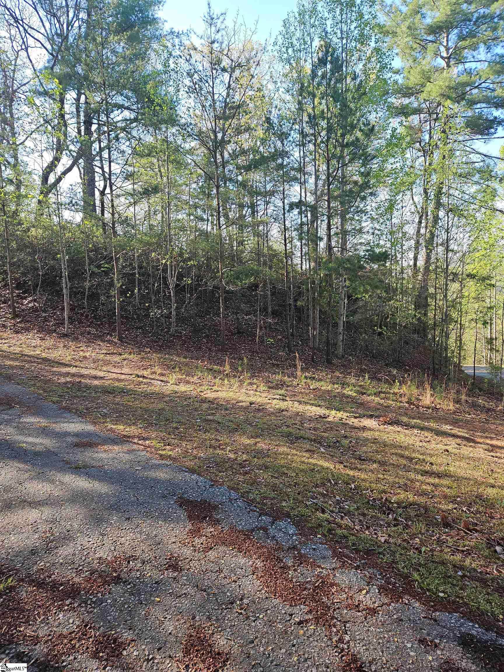 Property image 4 at 139 Whispering Falls Drive, Pickens, SC 29671