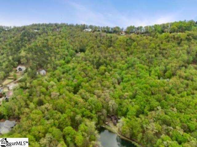 Property image 2 at 19287 Patrol Club Road, Greenville, SC 29609