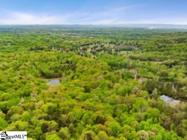 Property image 3 at 19287 Patrol Club Road, Greenville, SC 29609