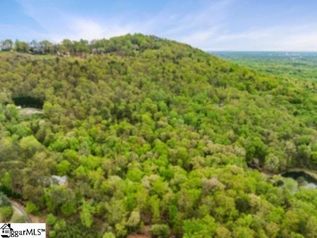 Property image 5 at 19287 Patrol Club Road, Greenville, SC 29609