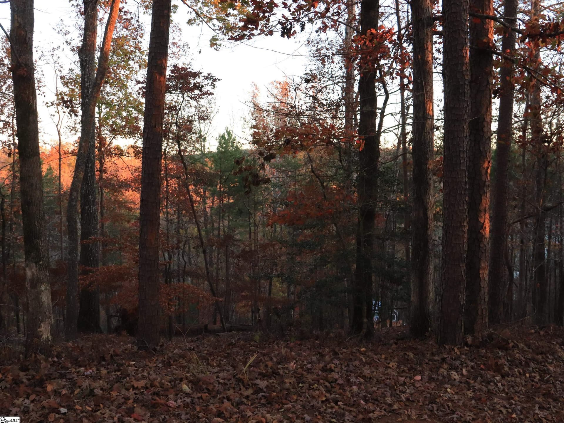 122 Summit Pine Drive