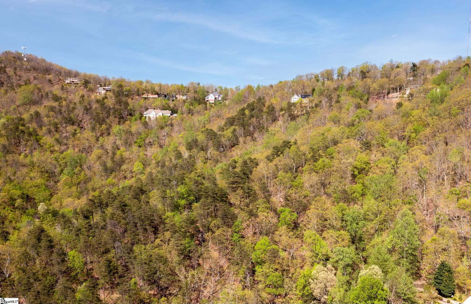 Property image 4 at Laurel Ridge, Greenville, SC 29609