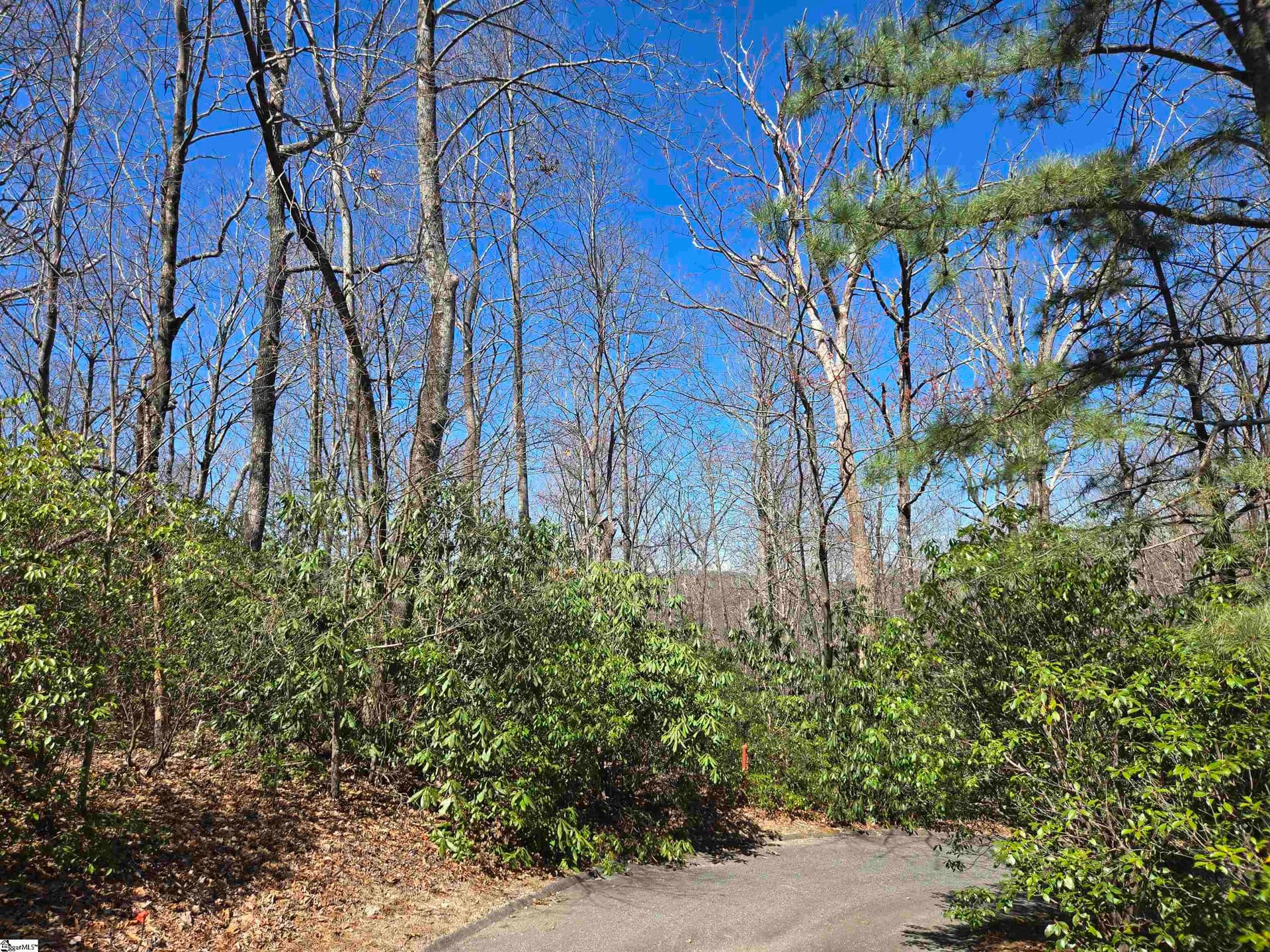 Property image 2 at 11 Larkspur Lane, Cleveland, SC 29635