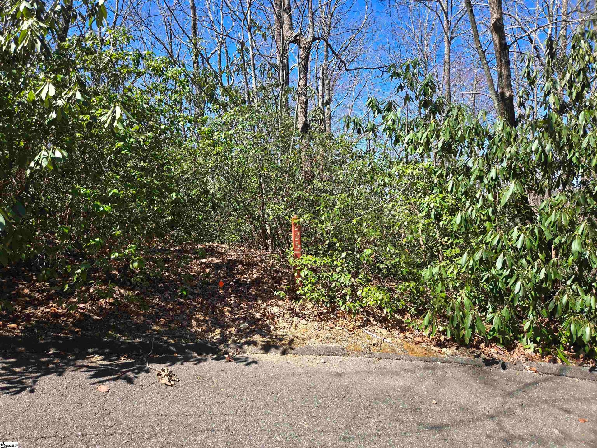 Property image 3 at 11 Larkspur Lane, Cleveland, SC 29635