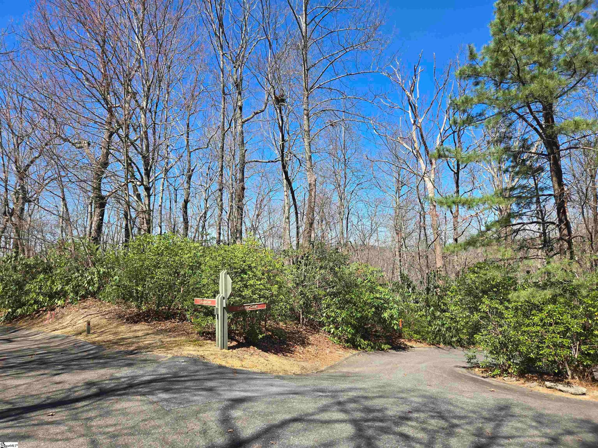 Property image 4 at 11 Larkspur Lane, Cleveland, SC 29635