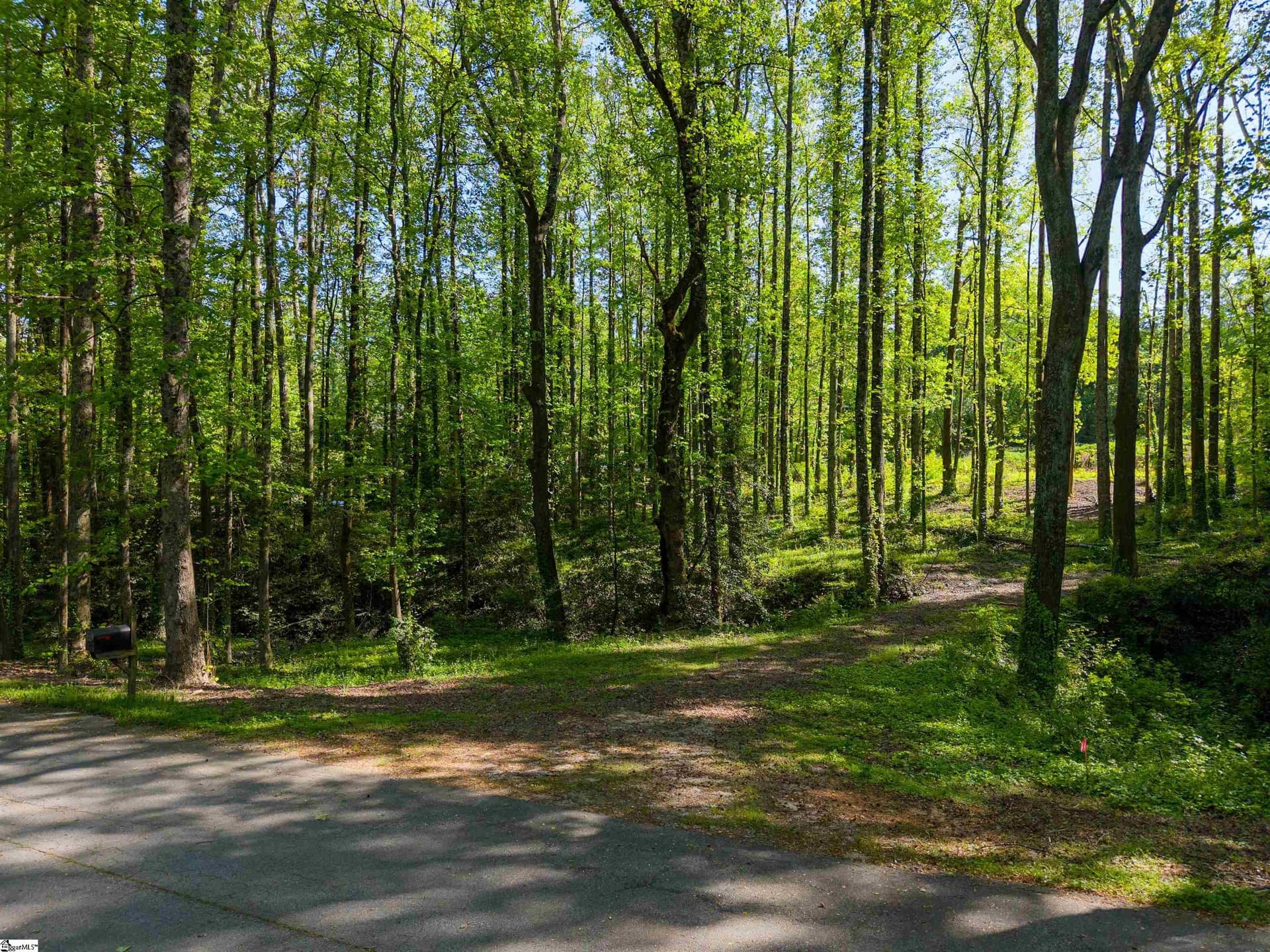 Property image 4 at 6 Stratton Place, Greenville, SC 29615