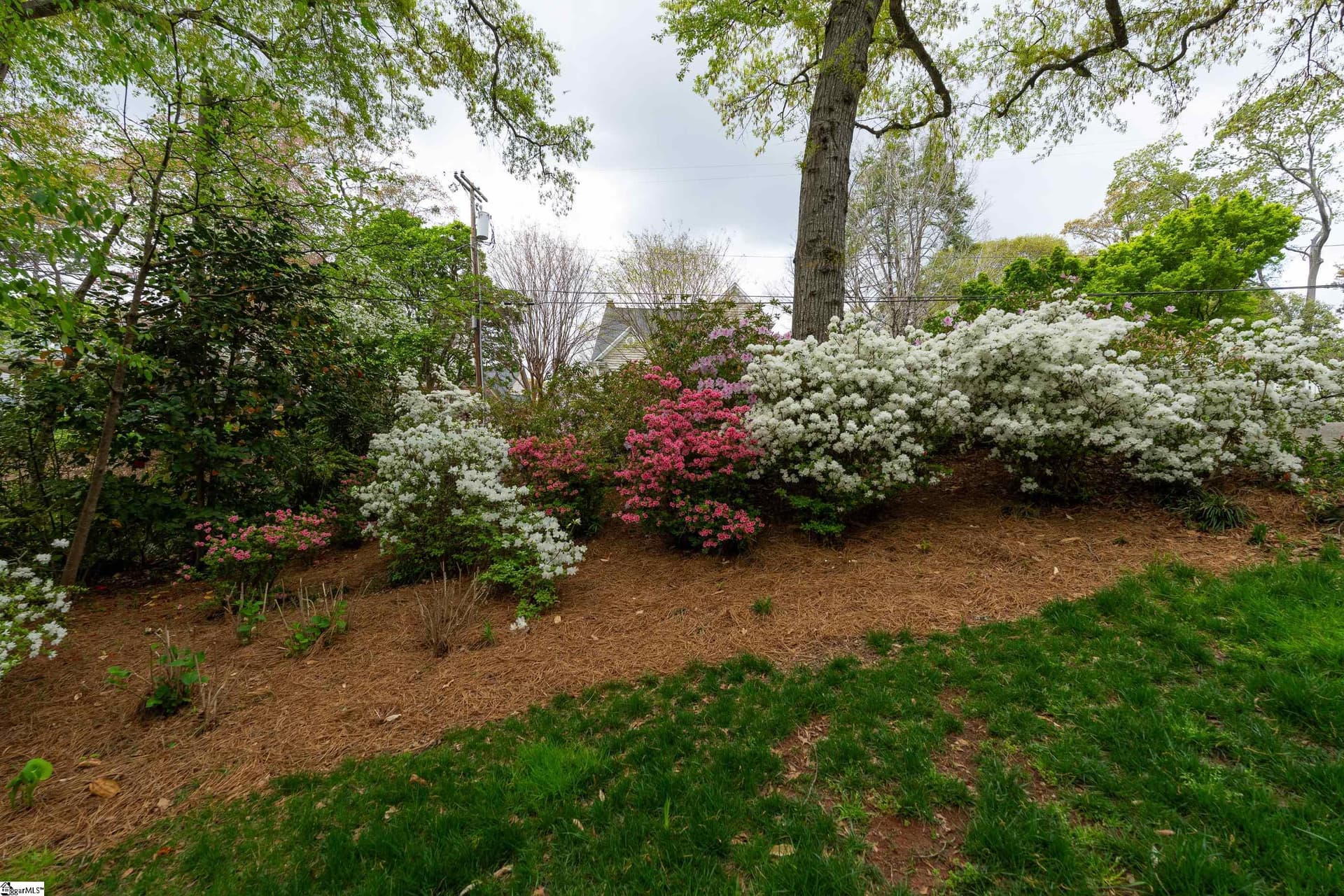 Property image 3 at 78 Woodvale Avenue, Greenville, SC 29605