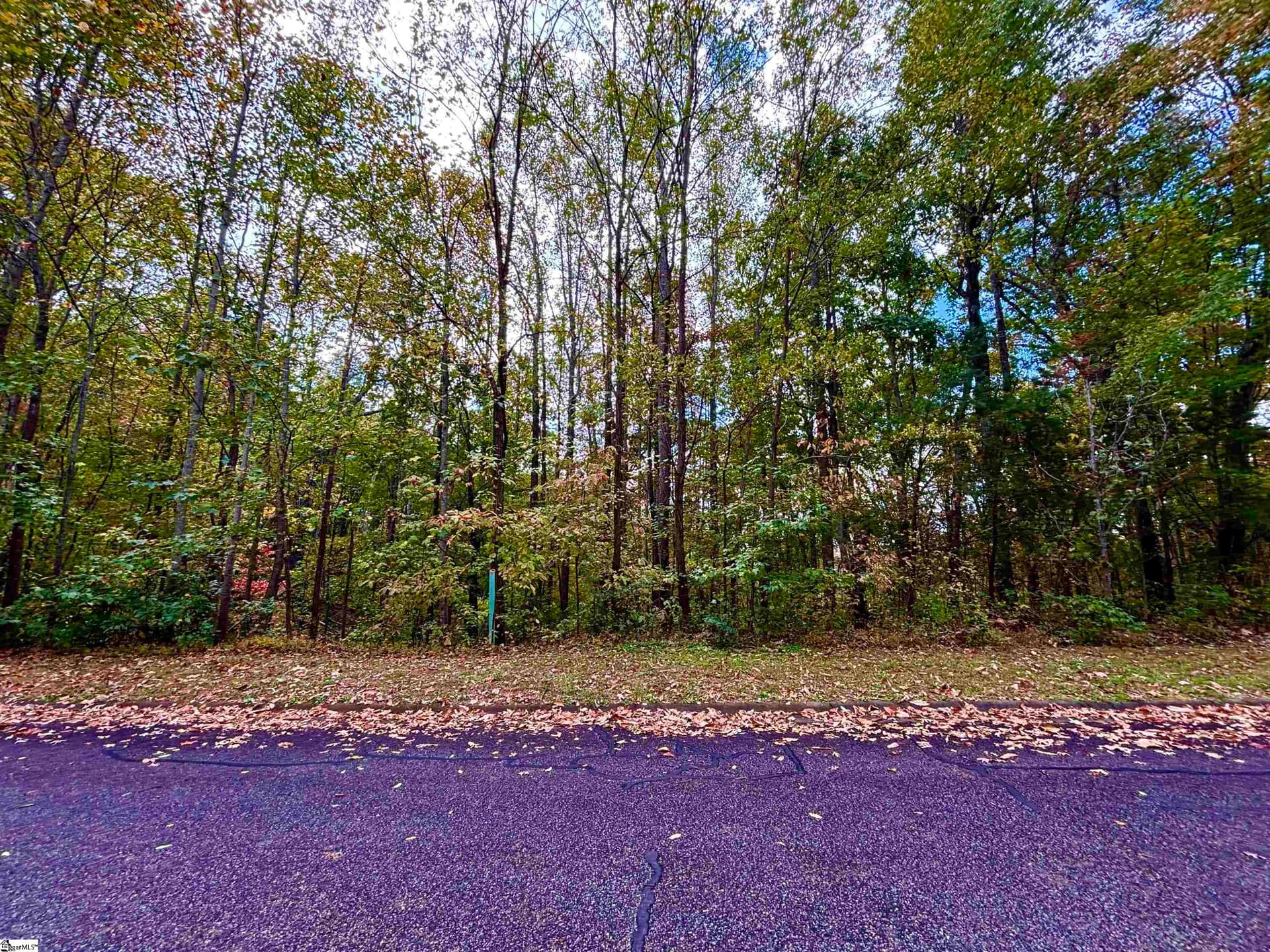 313 Laurel Valley Way