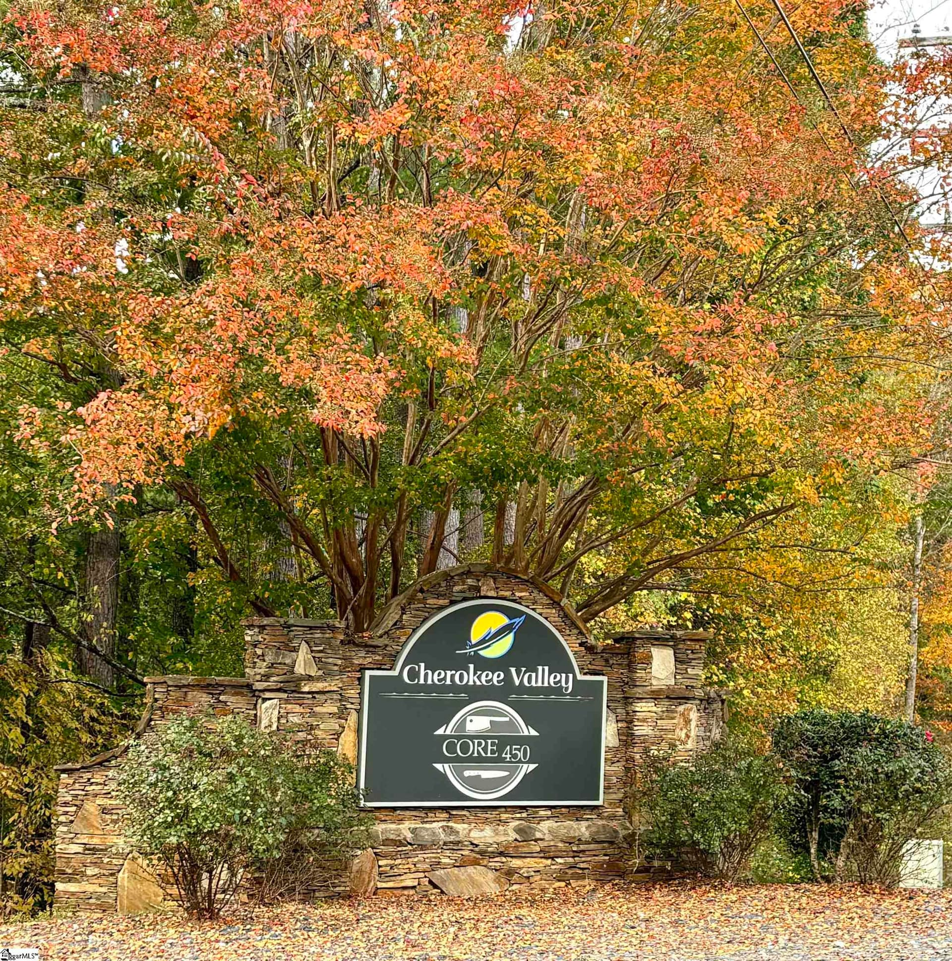 Property image 2 at 313 Laurel Valley Way, Travelers Rest, SC 29690