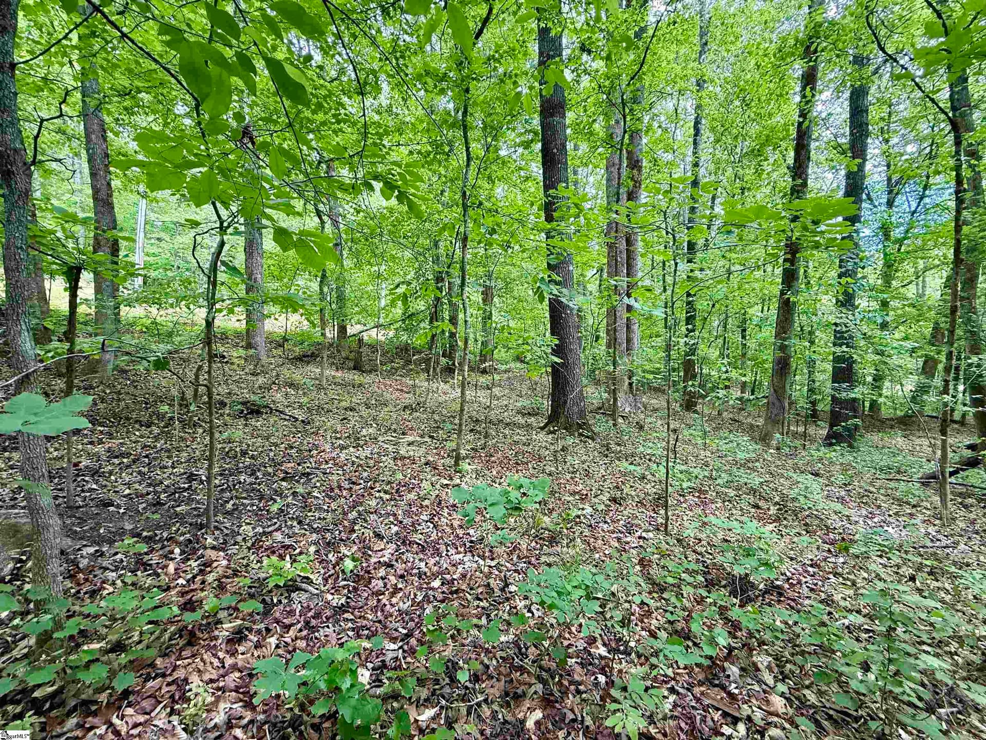 128 Sweetbriar Trail