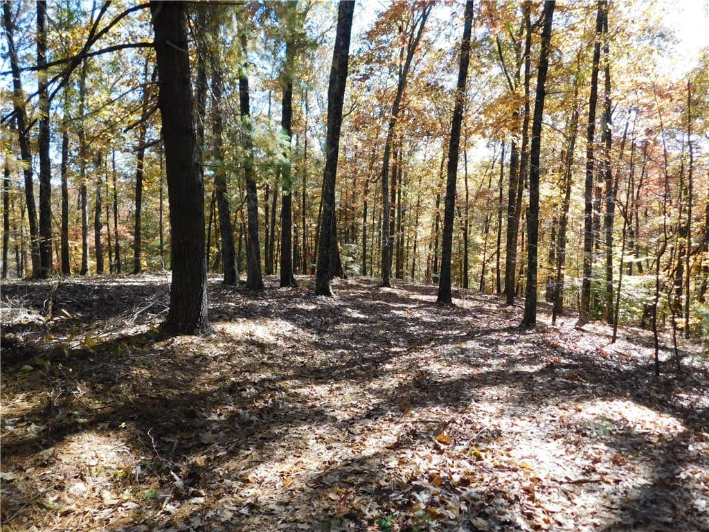 Property image 2 at 310 Sunset Ridge Way, Salem, SC 29676