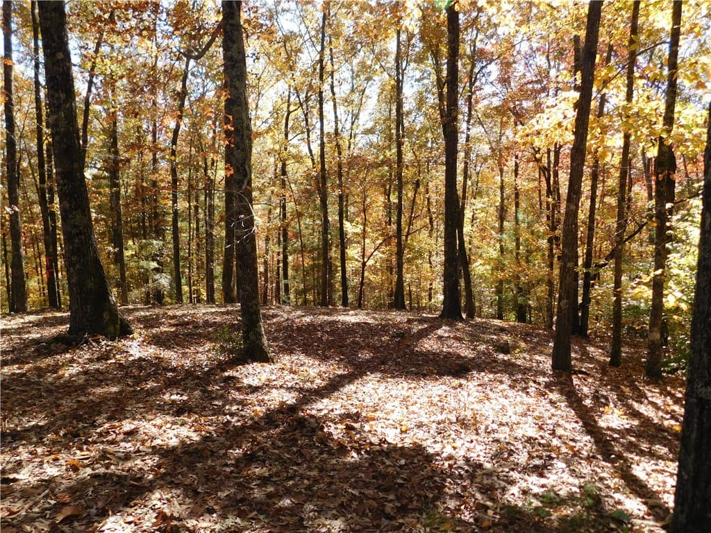 Property image 3 at 310 Sunset Ridge Way, Salem, SC 29676