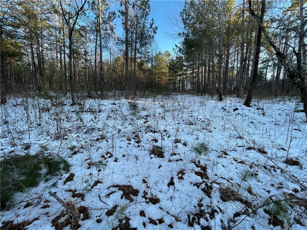 Property image 3 at Lot 80 Quiet Pine Road, Seneca, SC 29672