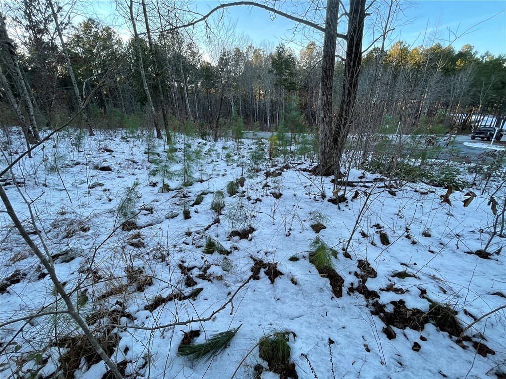 Property image 4 at Lot 80 Quiet Pine Road, Seneca, SC 29672