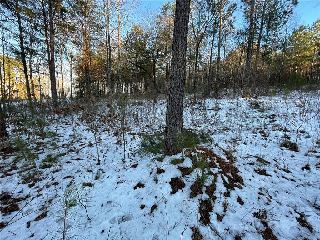Property image 5 at Lot 80 Quiet Pine Road, Seneca, SC 29672