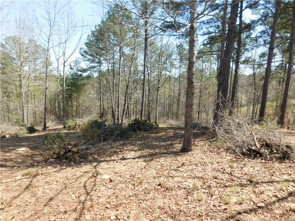 306 Eagle S Bend Trail