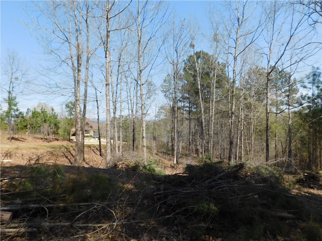 Property image 3 at 306 Eagle S Bend Trail, Salem, SC 29676